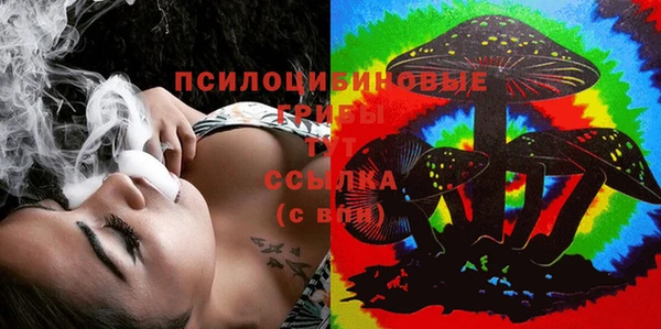 амф Алексин