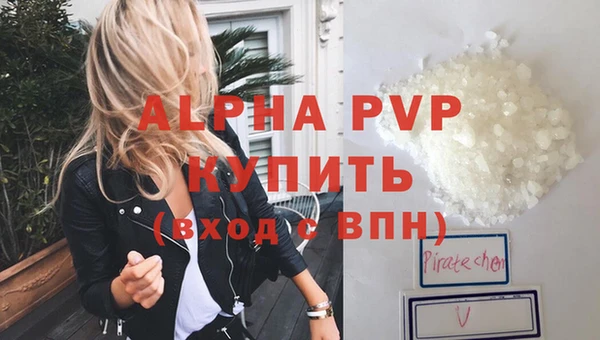 амф Алексин