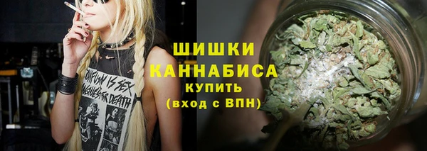 PSILOCYBIN Алексеевка