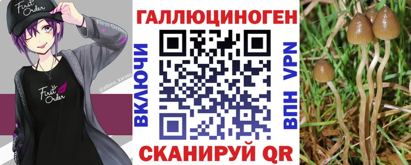 Галлюциногенные грибы Magic Shrooms  Кола 